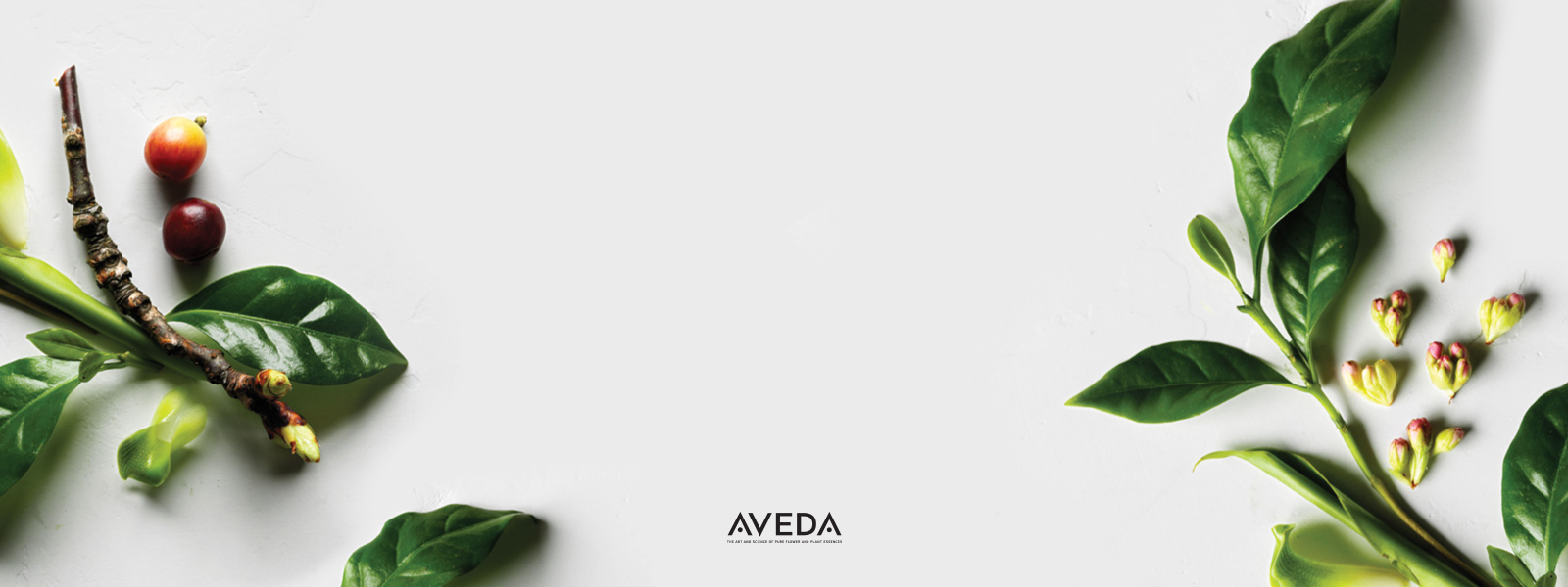 Studio A Osceola, WI